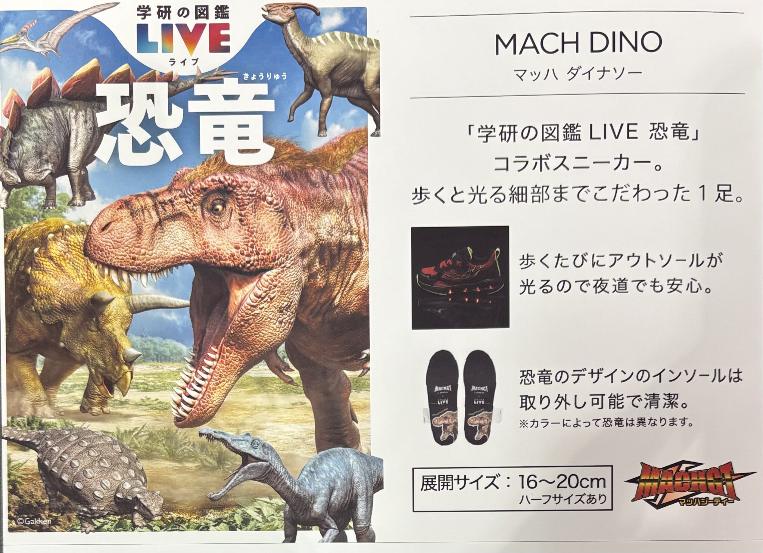 学研LIVE「恐竜」× HAWKINS | ABC-MART | ショップトピックス | 西武