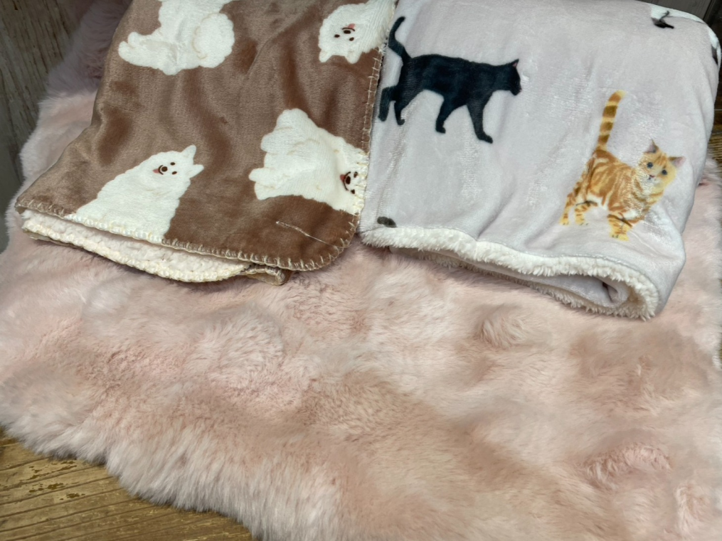 ブォーナ・ビィータ