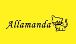 Allamanda