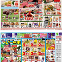 チラシ　8/11号（8/11～8/16）公開中！