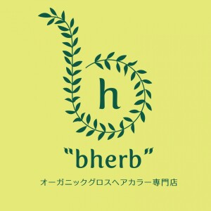 Organic Gloss Hair Color Salon bherb