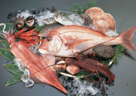 魚きん