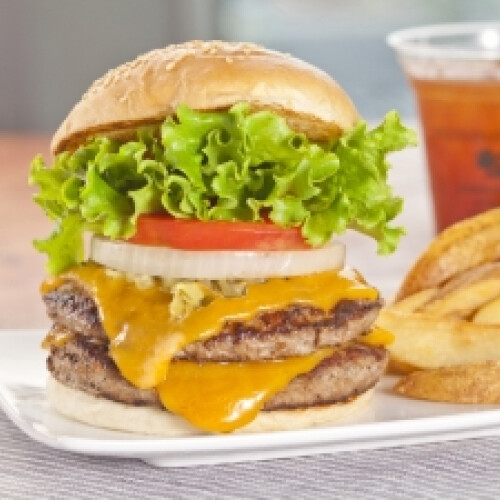 フレッシュネスバーガー