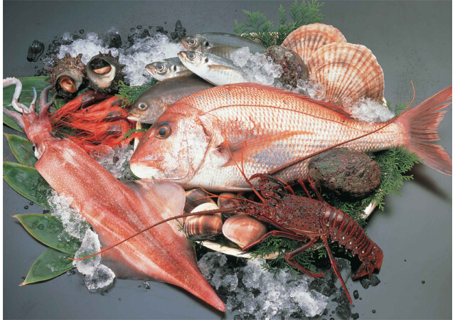 魚きん