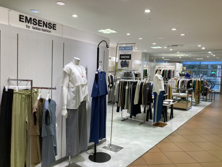 EMSENSE