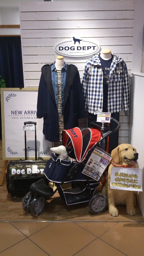 DOG DEPT