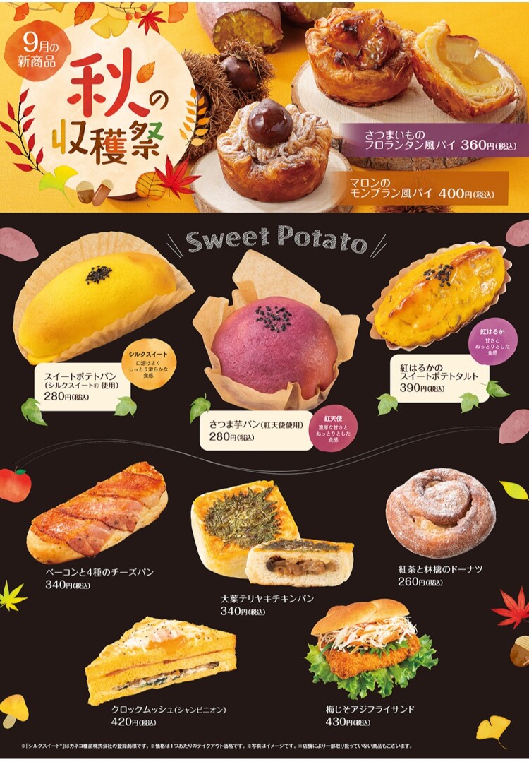 9月の新商品NEWS