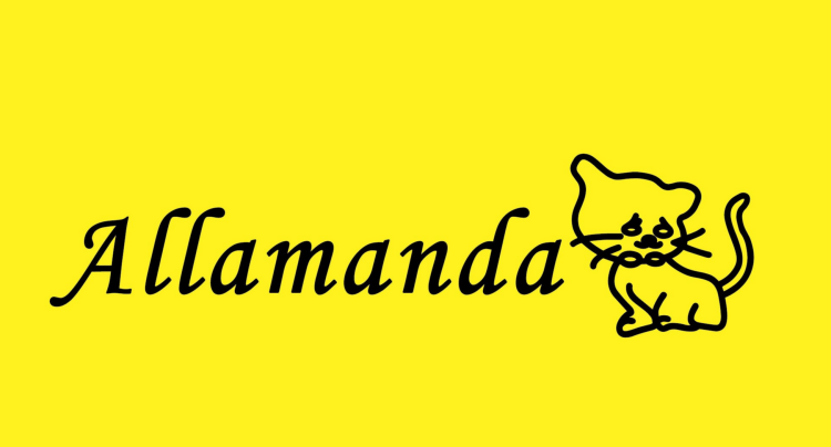 新作キャリーケース入荷!!