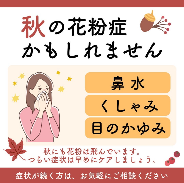 「秋なのに、目がかゆい？」その違和感、花粉が原因かもしれません