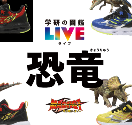 コラボの商品ご紹介