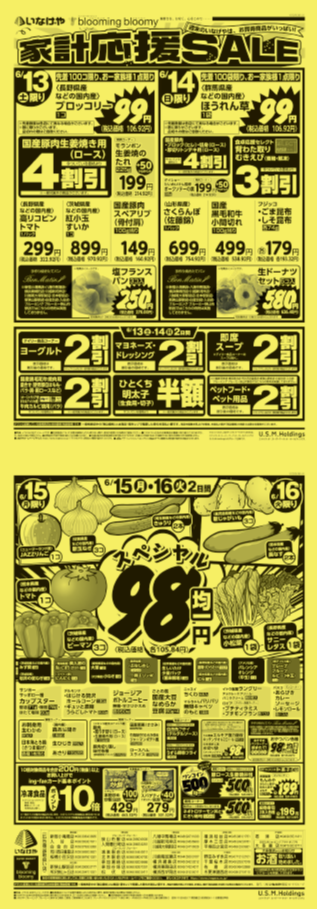 チラシ　6/13号（6/13～6/16）公開中！