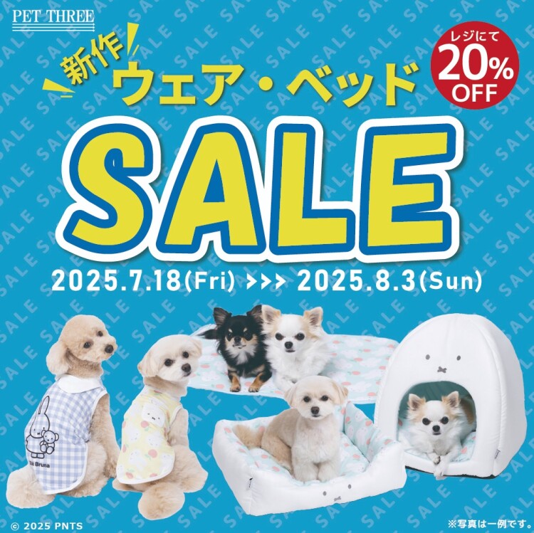 新作ウェア・ベッドSALE