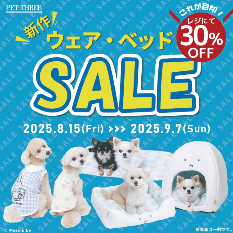 新作ウェア・ベッドSALE