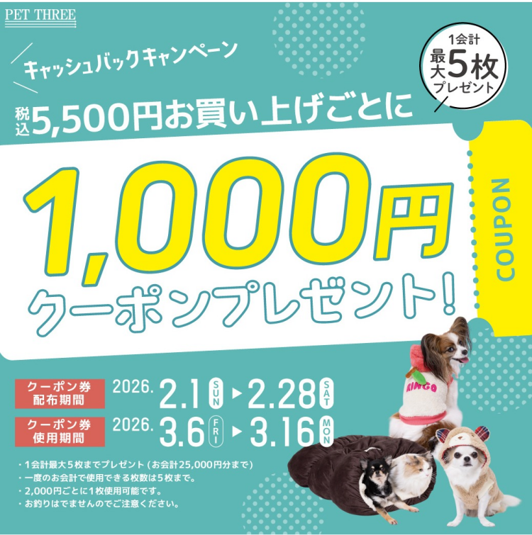 5,500円(税込)以上お買いあげごとに1,000円クーポンプレゼント!