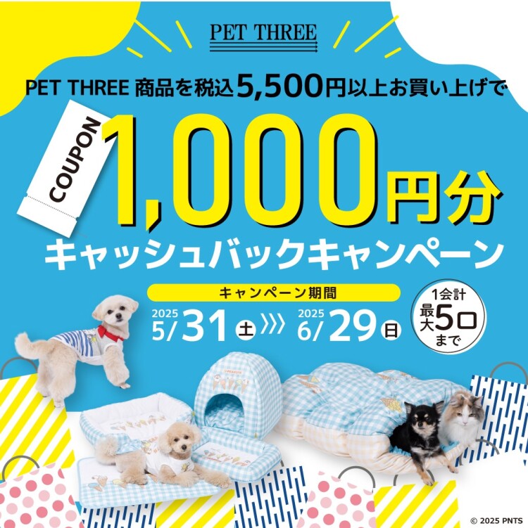 キャッシュバックキャンペーン