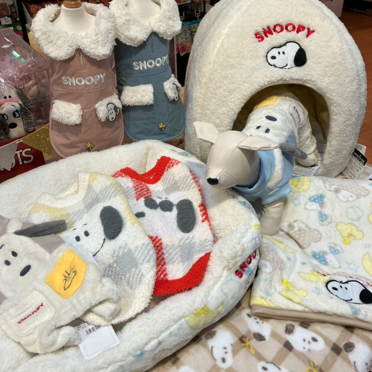 冬のクリアランスセール