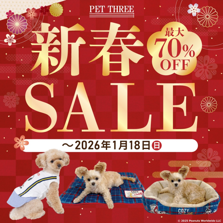 新春SALE