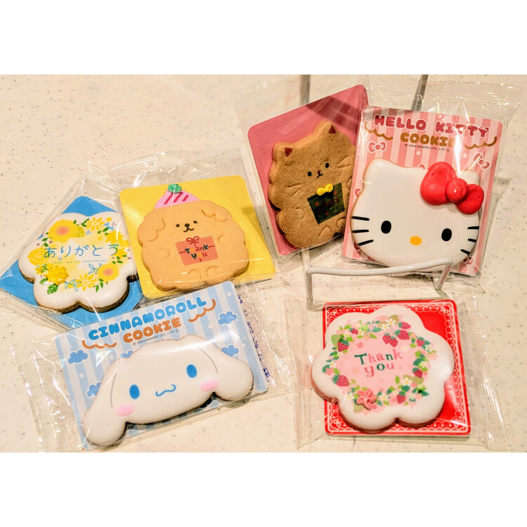 アイシングクッキー♡GIFTにオススメお菓子♡数量限定